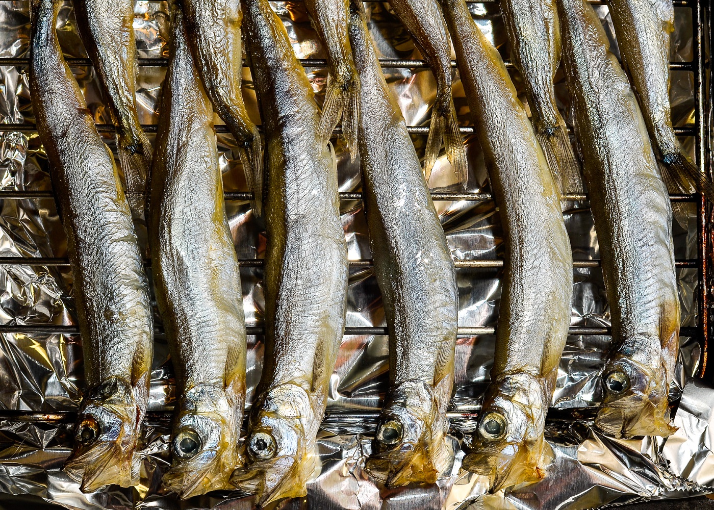 shishamo-small-fish-on-a-grill